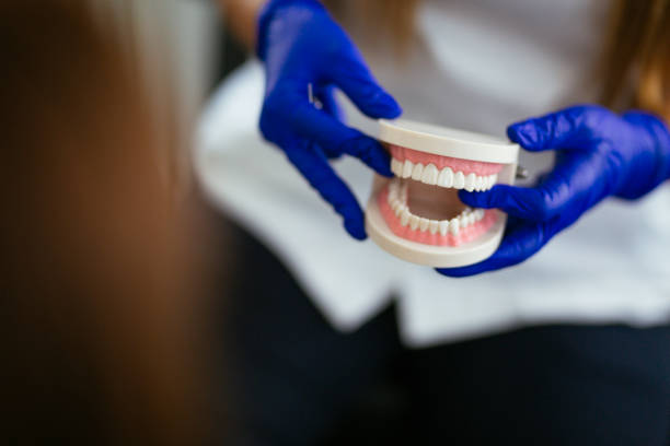 Best Dental Exams and Cleanings  in Amsterdam, NY